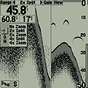 Zoom Scale 