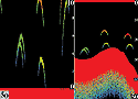 Sonar Zoom Split Screen
