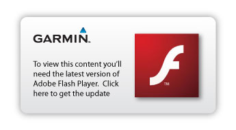 Get Adobe Flash player