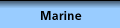 Marine