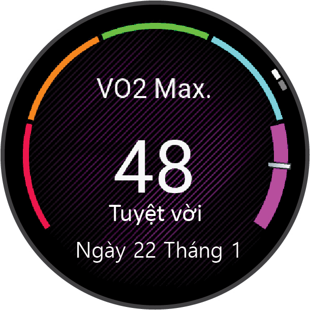 Share more than 142 watches with vo2max latest
