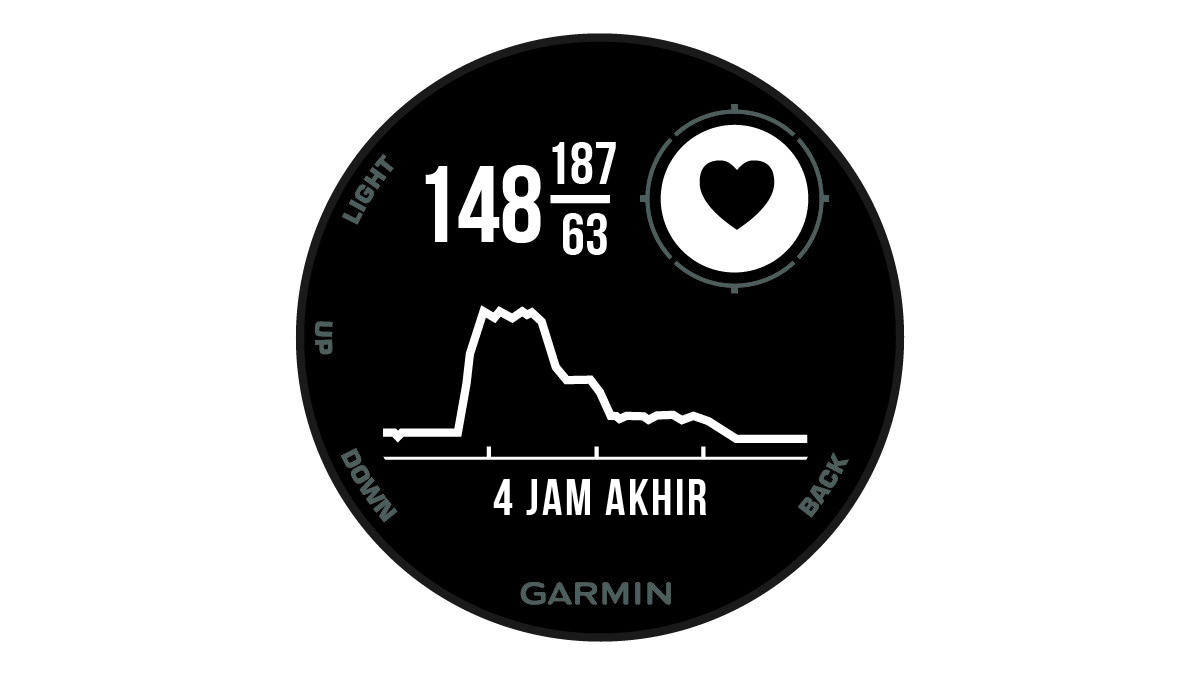 Garmin xero clearance widget