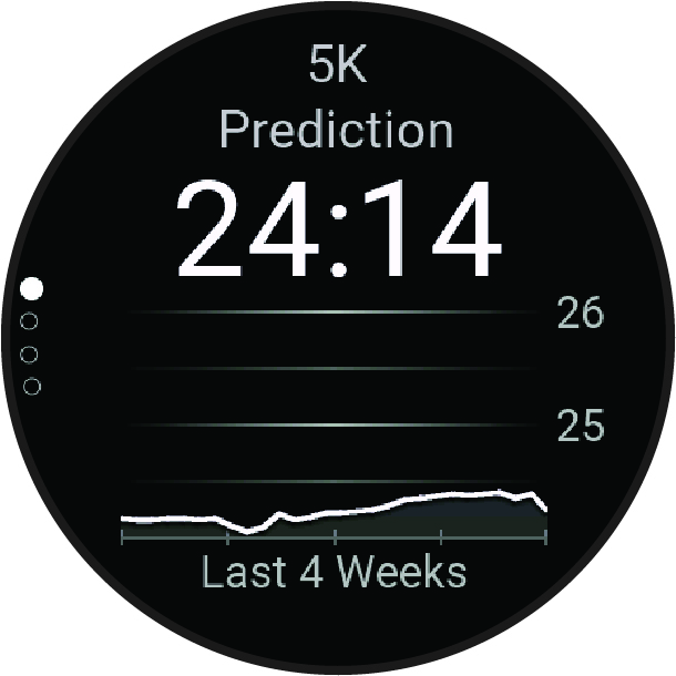 Screenshot of predicted race time with data