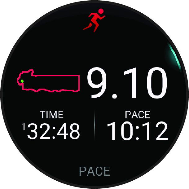 Screenshot of the run summary