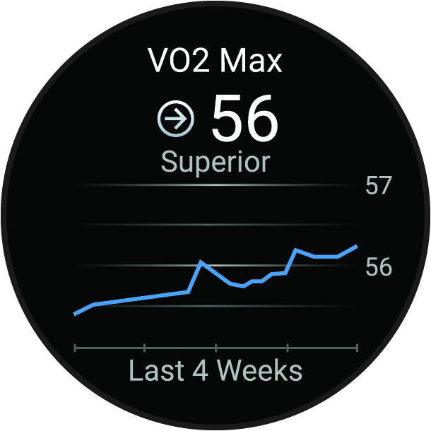 Screenshot of VO2 max with data