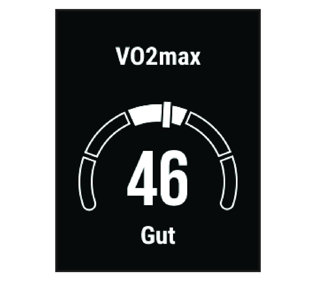 VO2max-Daten