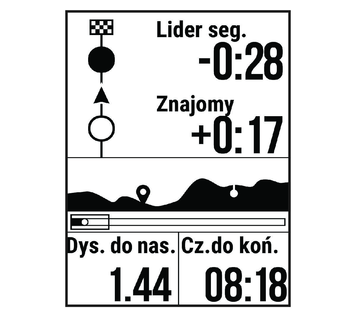 Dane dotyczące wyścigów segmentowych