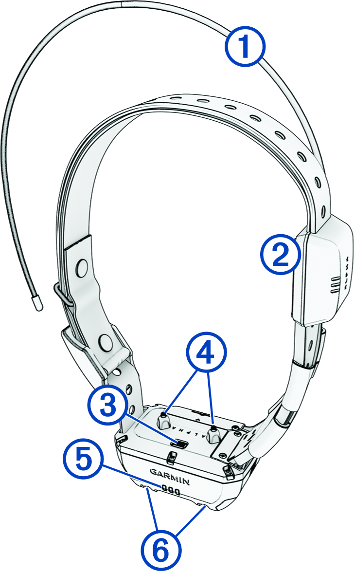 Dog collar device with callouts