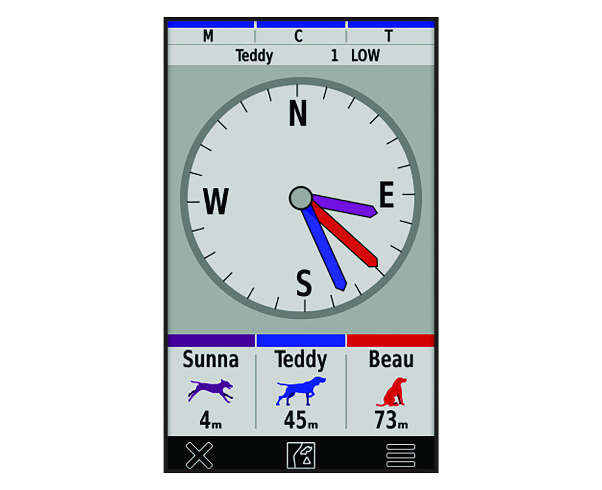 Dog tracking compass screen