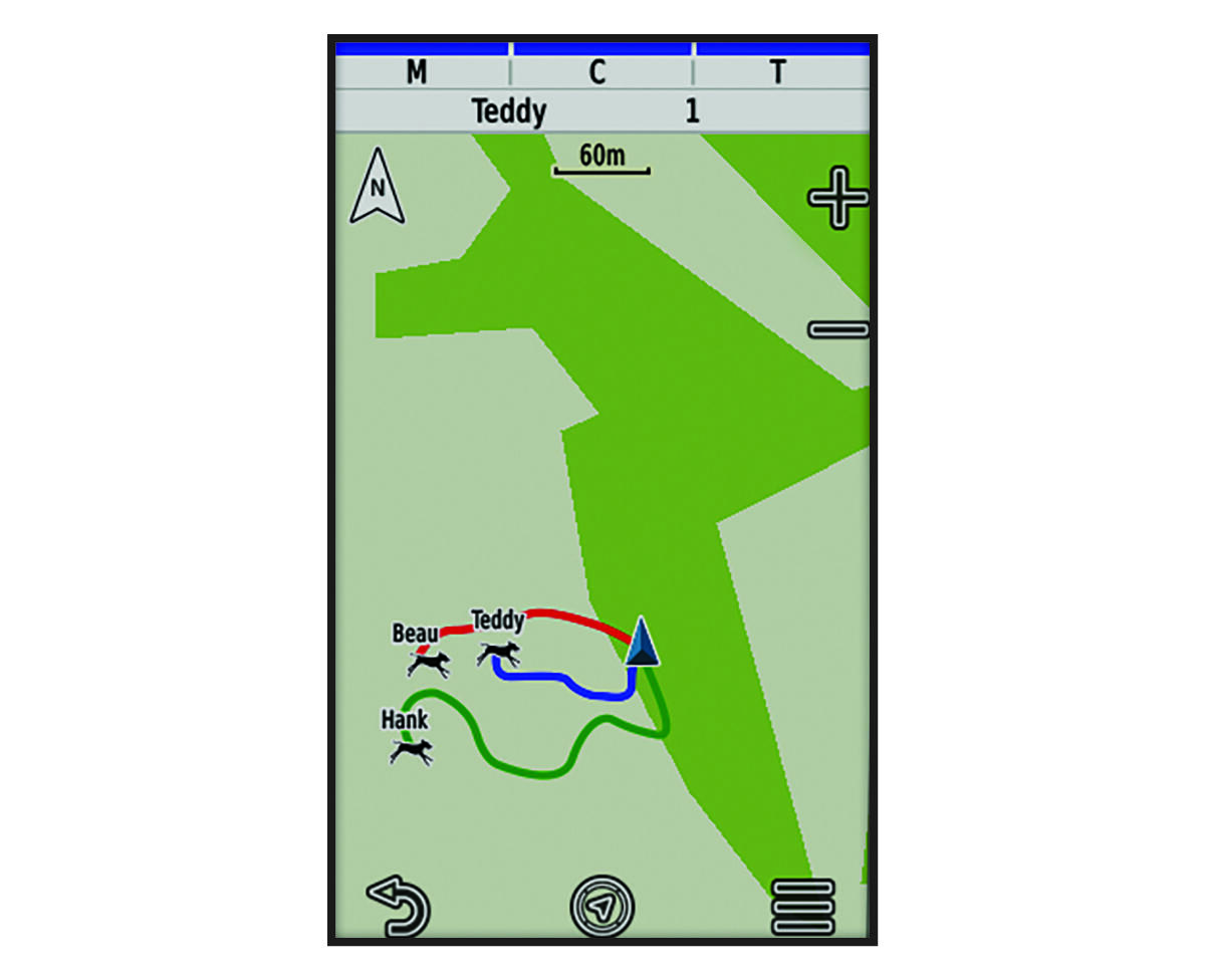 Dog tracking map screen