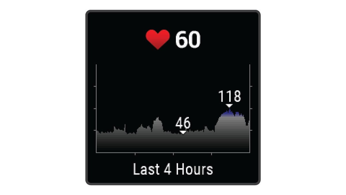 Venu Sq Owners Manual - Viewing the Heart Rate