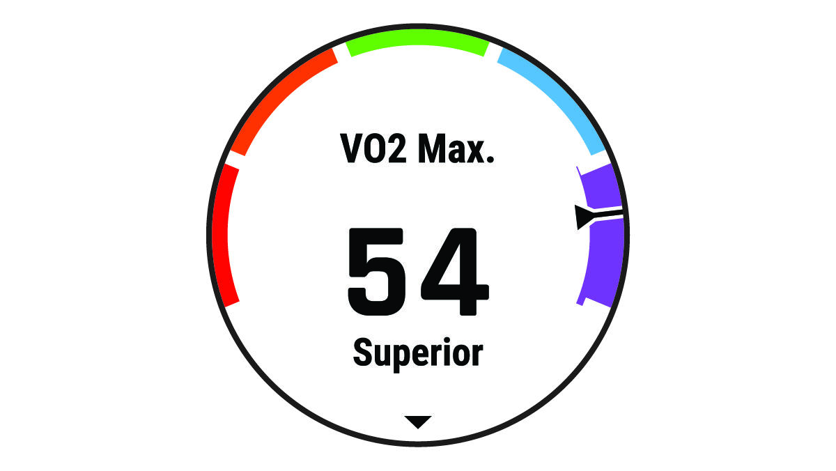Captura de pantalla del indicador de VO2 máximo