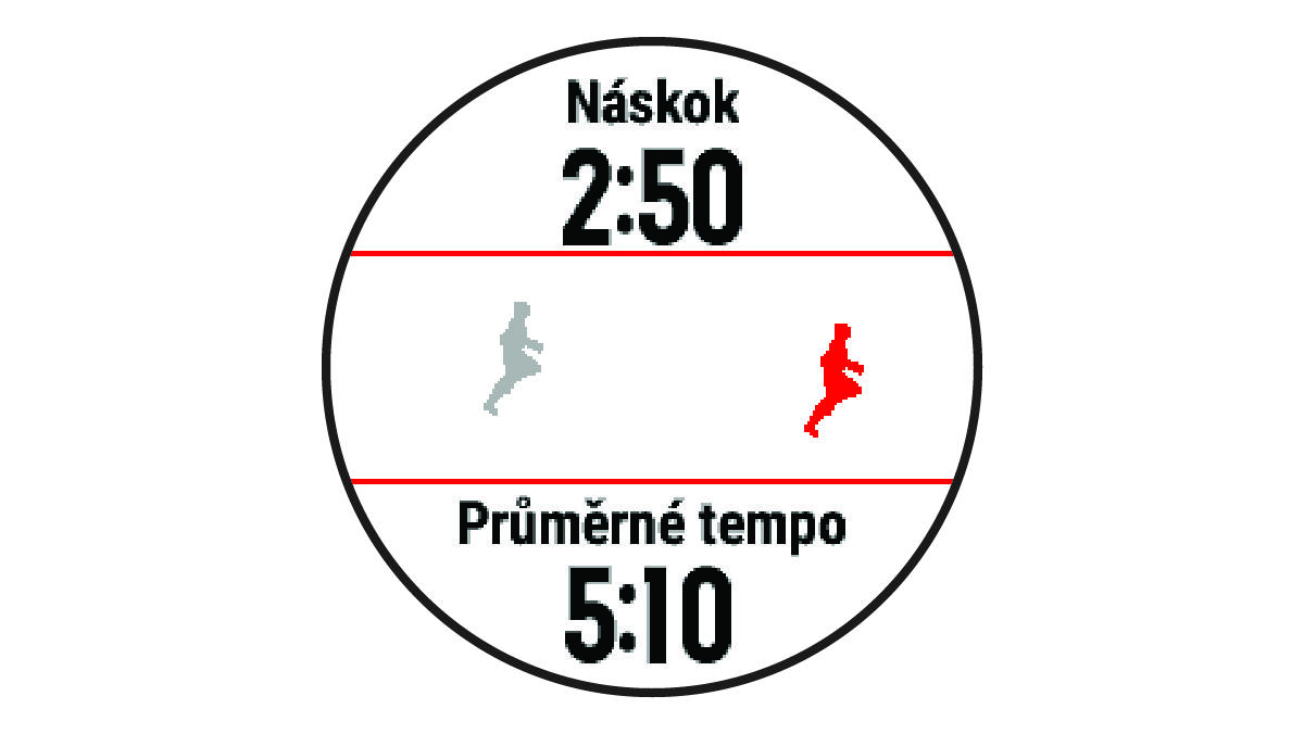 Údaje funkce Virtual Partner