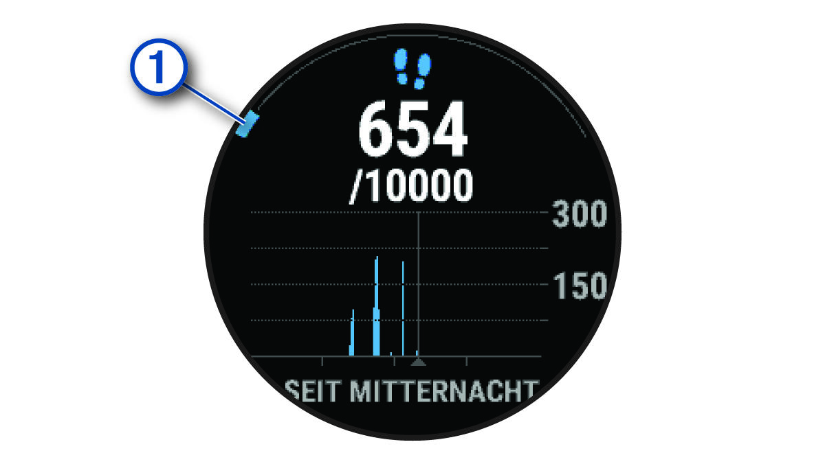 Daten für das Tagesziel Schritte mit Beschriftung