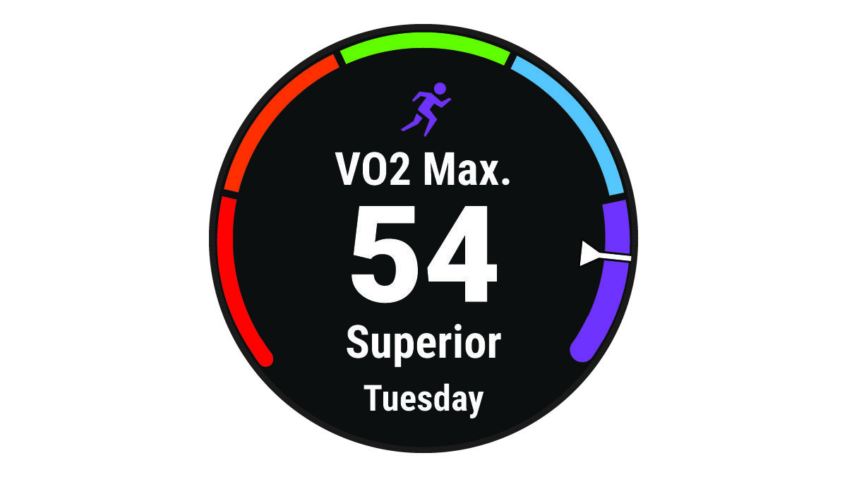 VO2 max. data