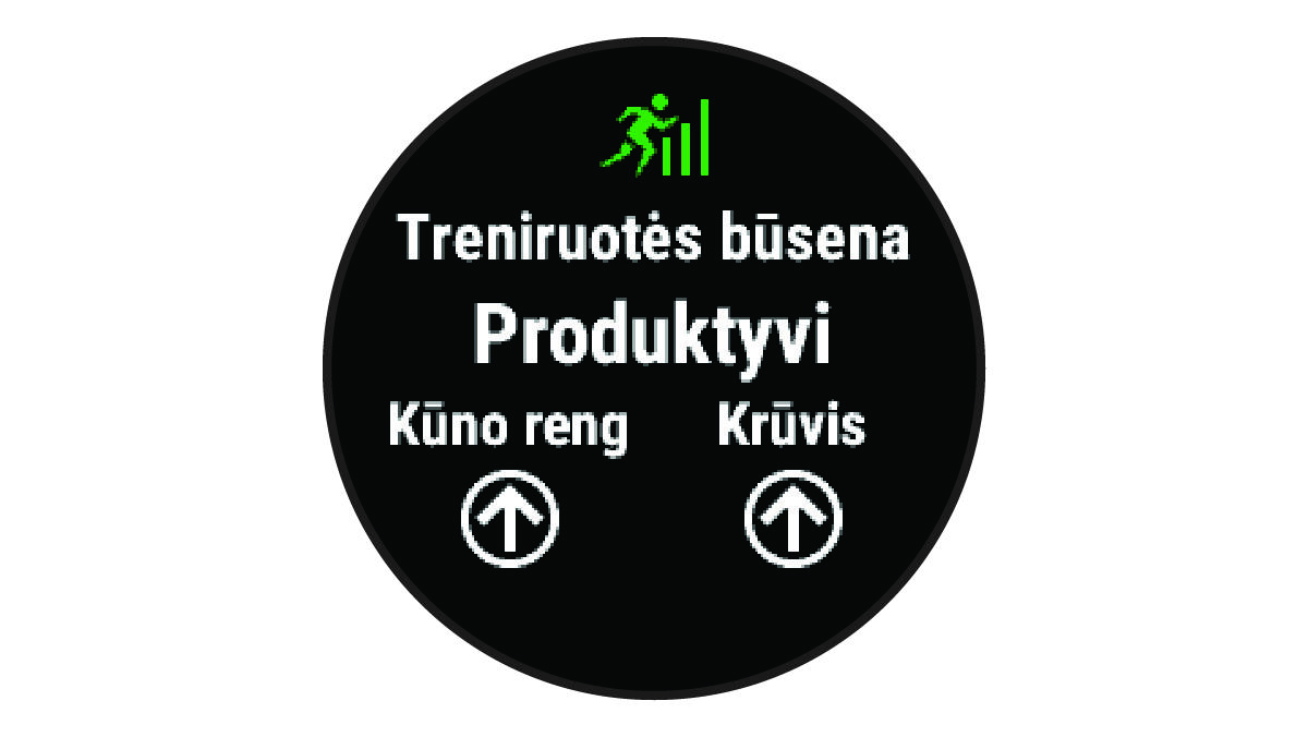 Treniravimosi būsenos duomenys