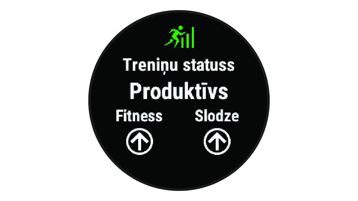 Treniņa statusa dati