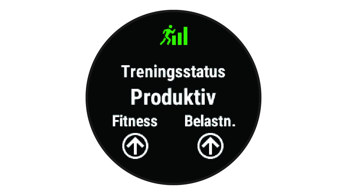 Treningsstatusdata