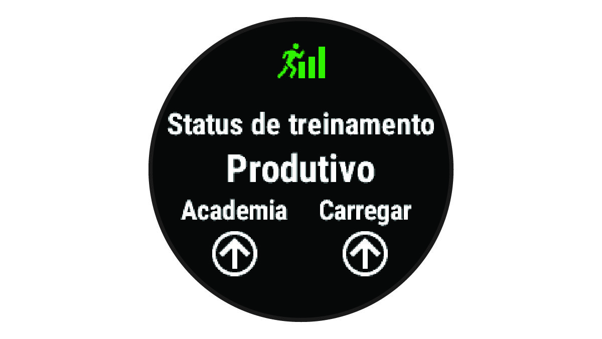 Dados de status do treinamento