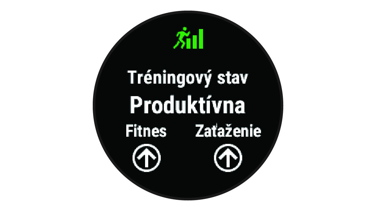 Údaje o tréningovom stave