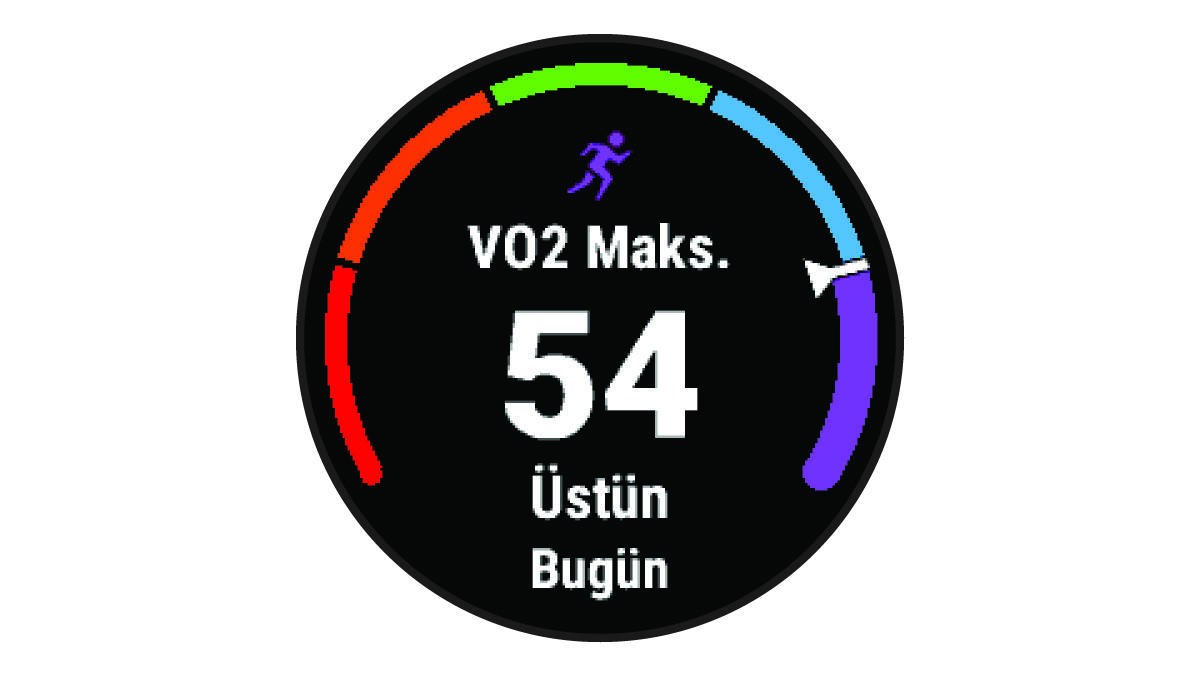 Maksimum VO2 verileri