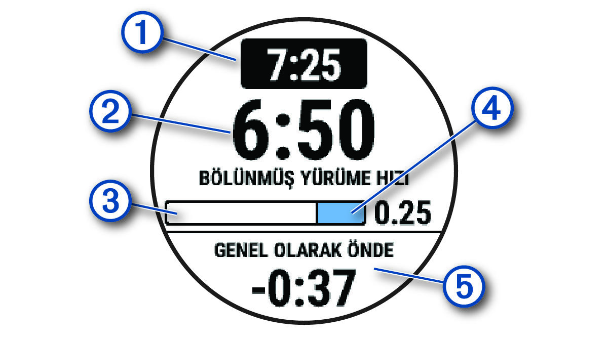 Açıklamalarla birlikte PacePro verileri