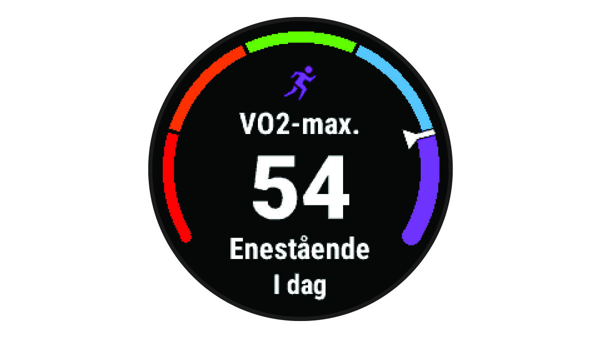 VO2 maksimumo duomenys