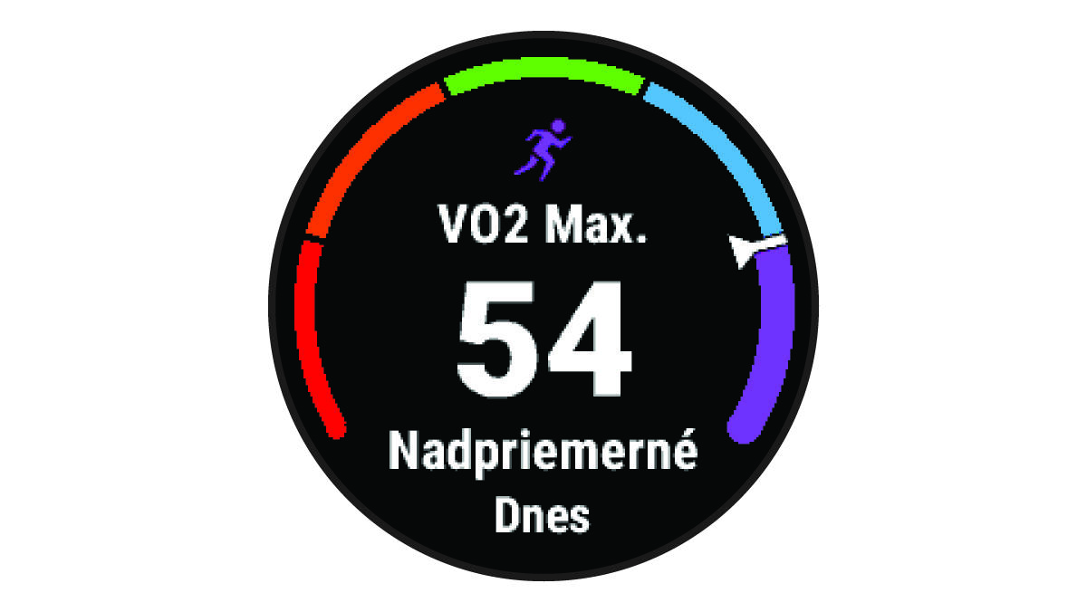 Údaje o hodnote VO2 Max