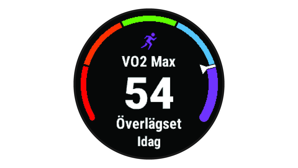 Data för VO2 Max