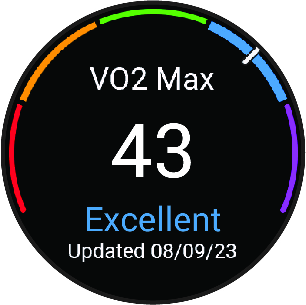 VO2 max. data