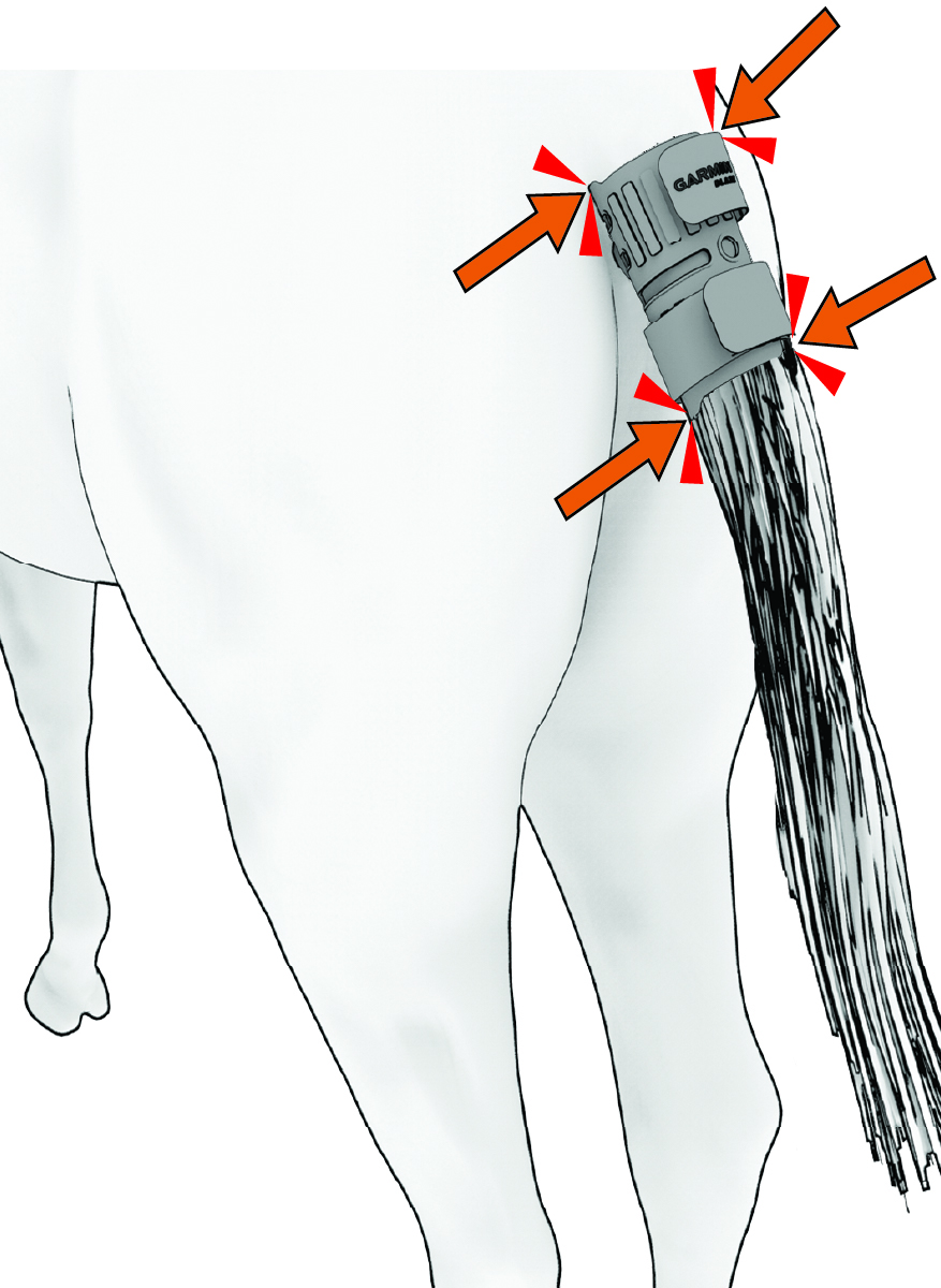 View of the device fit onto the horse