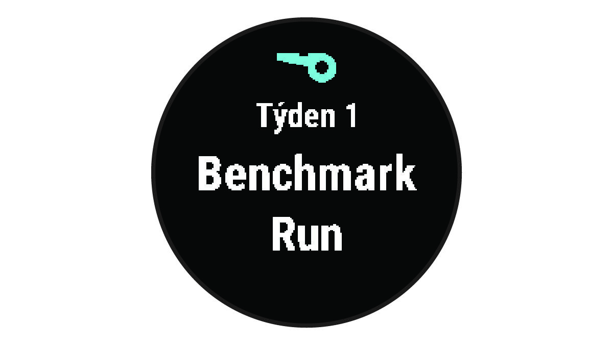 Údaje funkce Trenér Garmin