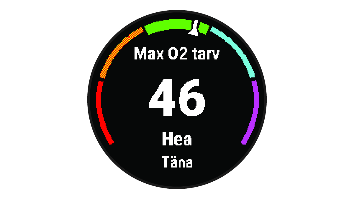 Maksimaalse hapnikutarbimise andmed