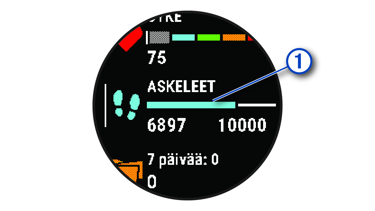 Askeltavoitetiedot ja numero