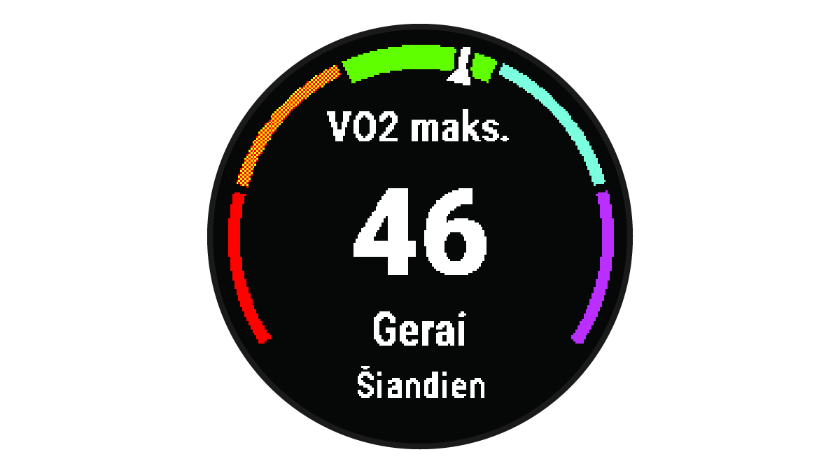 VO2 maksimumo duomenys