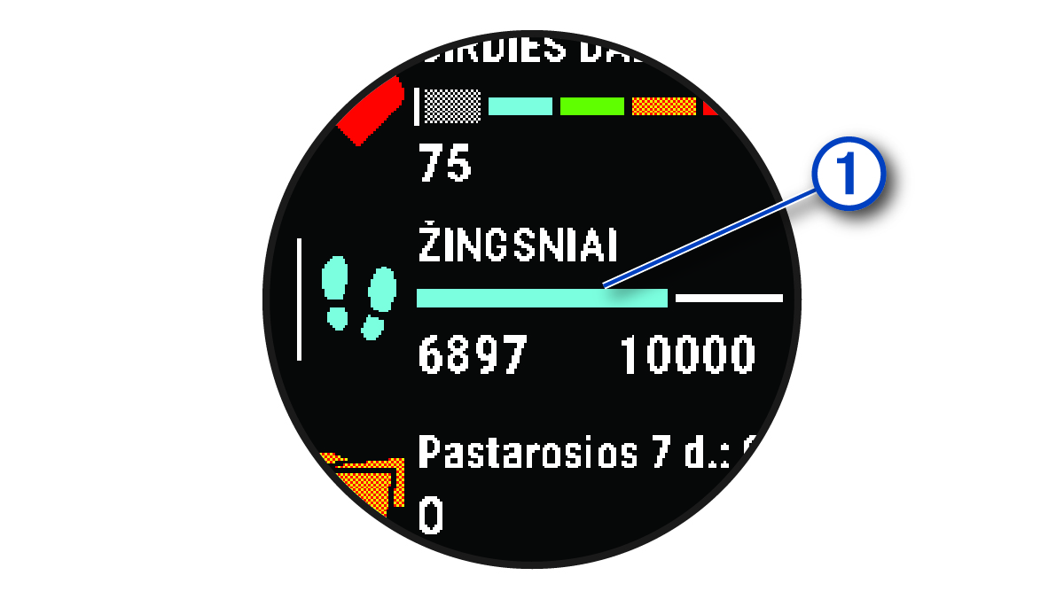 Žingsnių tikslo duomenys su išnaša