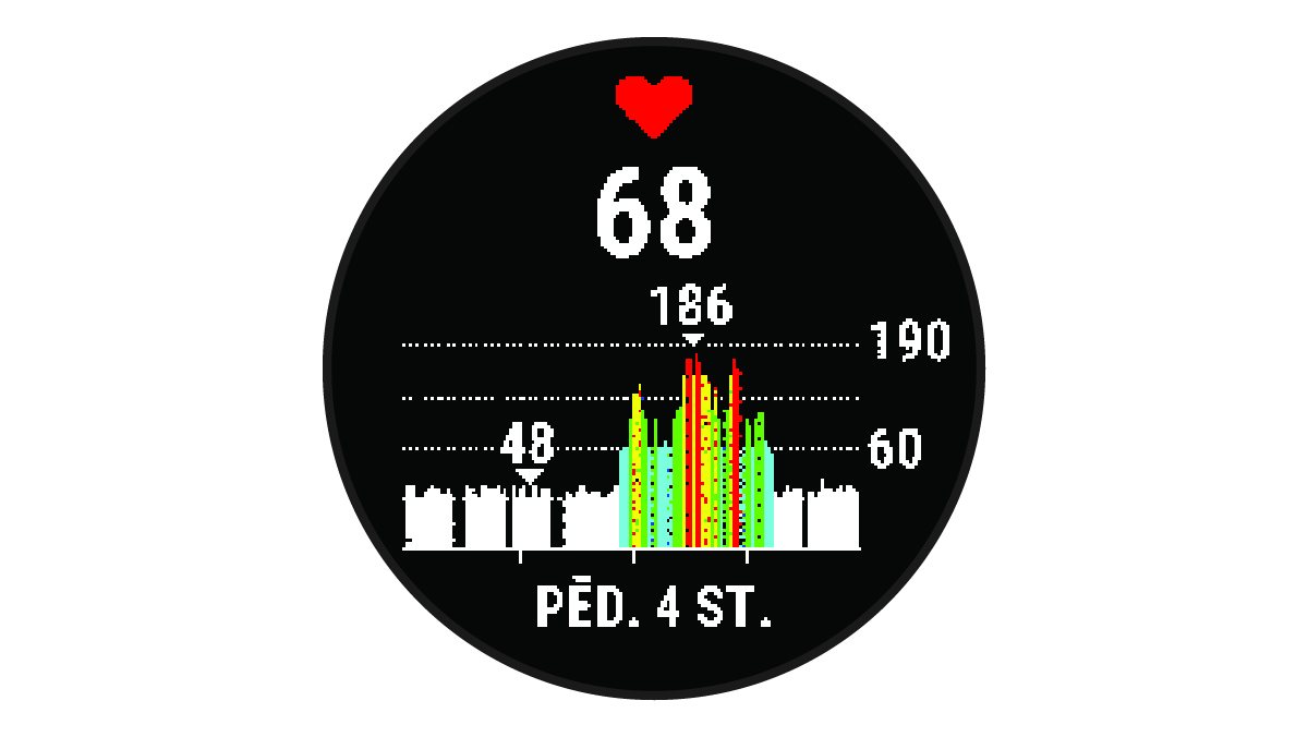 Sirdsdarbības ritma dati