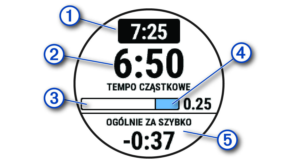 Dane PacePro z objaśnieniami