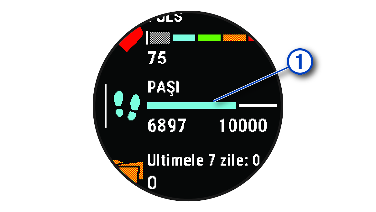 Date despre obiectivul de pași cu explicații