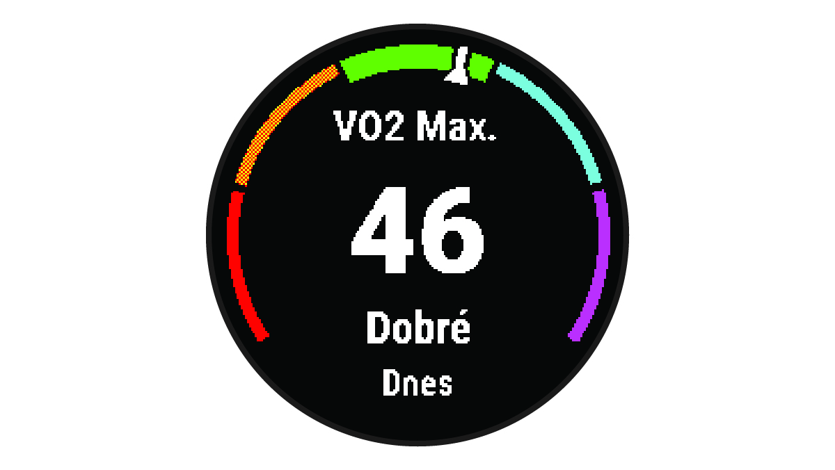 Údaje o hodnote VO2 Max