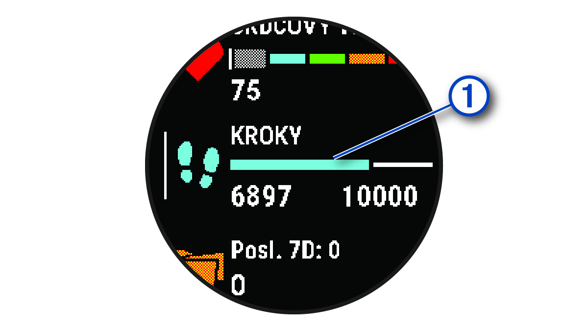 Údaje o cieli počtu krokov s popisom