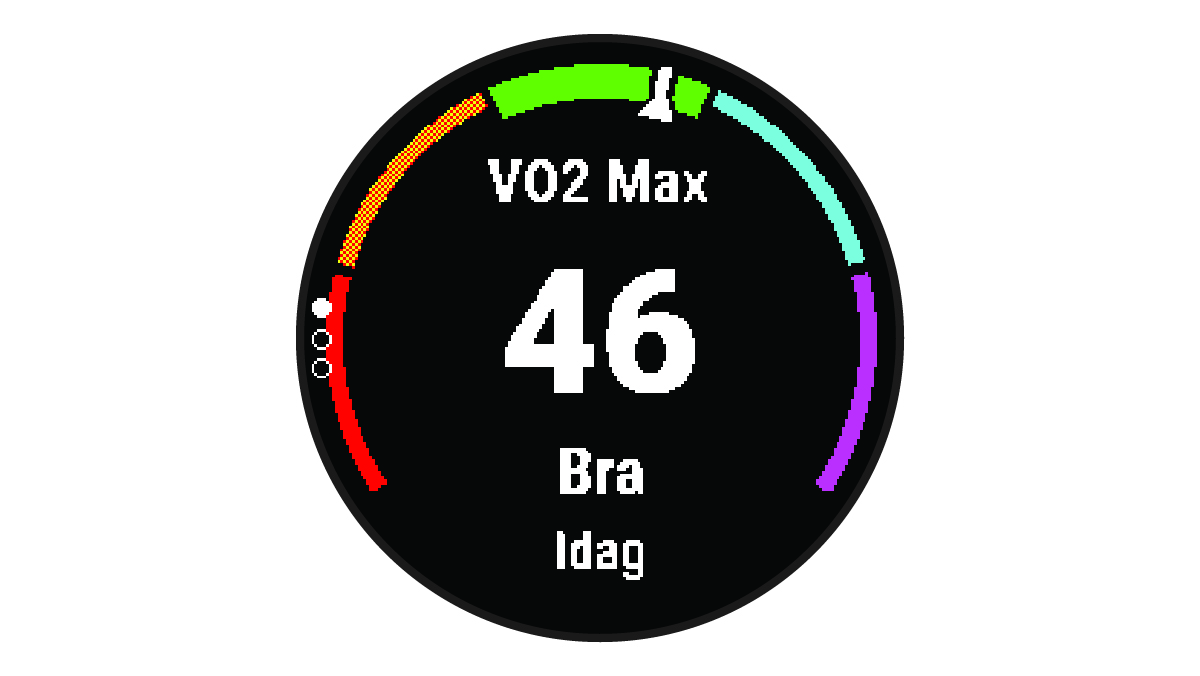 Data för VO2 Max