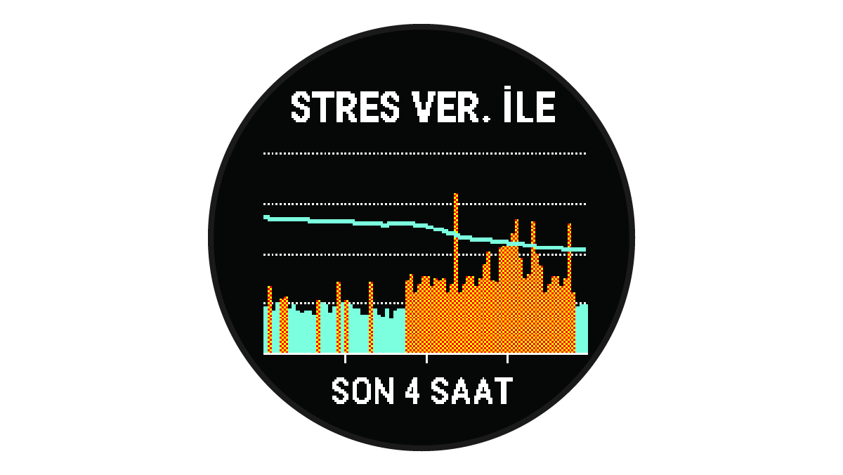 Body Battery verileri