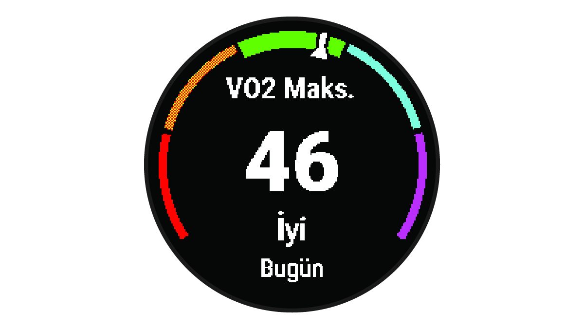 Maksimum VO2 verileri