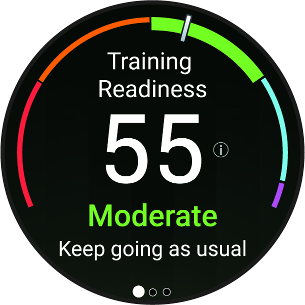 Training readiness data