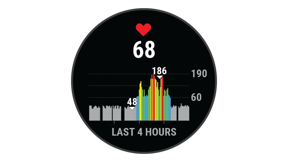 Heart rate widget with data