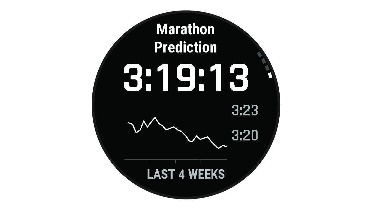 Screenshot of predicted race time data