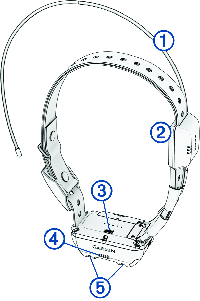 Dog collar device with callouts