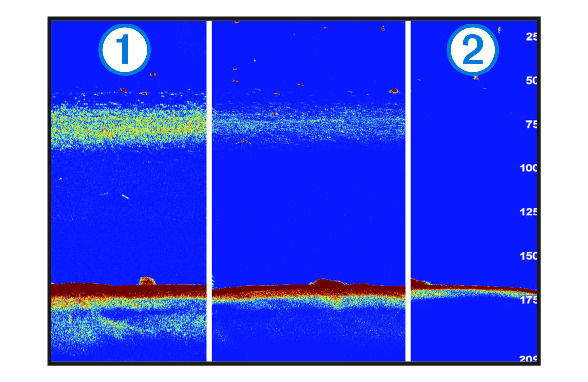 Echo stretch comparison with callouts