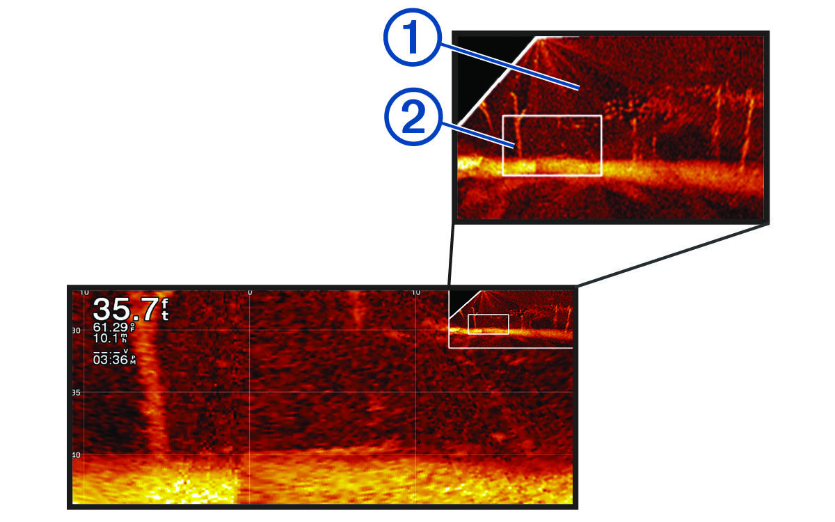 Panoptix view with pan and inset with callouts